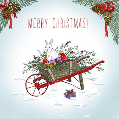 Opakowanie Karnet Swarovski kwadrat Święta Taczka z królikiem Napis