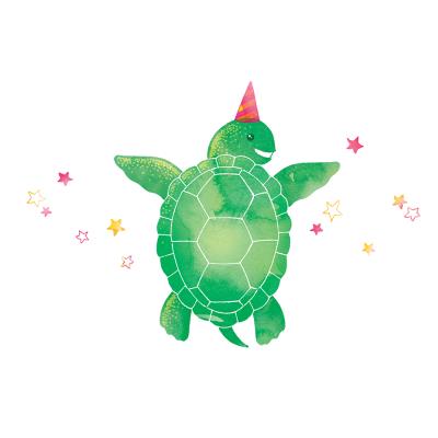 Okładka książki Karnet Swarovski kwadrat Zielony żółw