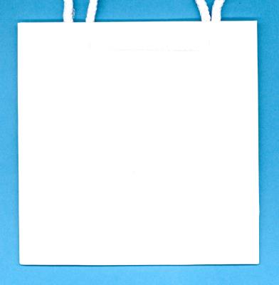 Opakowanie Torebka ozd. biała CD  OP