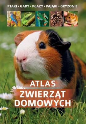 Atlas zwierząt domowych. Autor: Uglorz Manfred. SmakLiter.pl Okładka książki Atlas zwierząt domowych