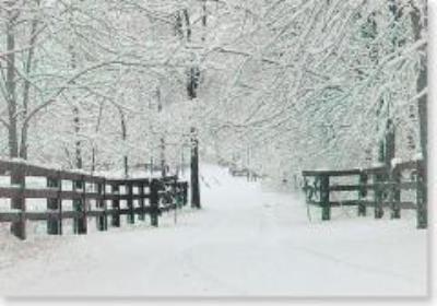 Opakowanie Karnet Św mini Zimowe Ślady (20szt)