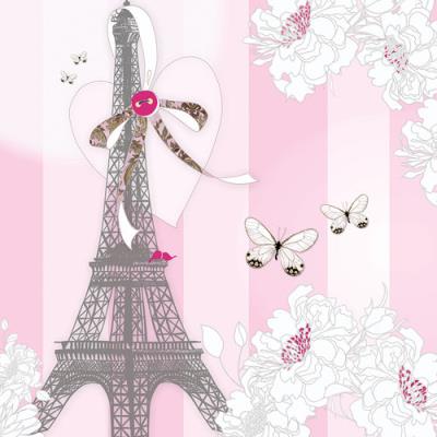 Opakowanie Karnet Swarovski kwadrat CL0525