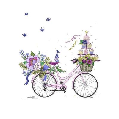 Opakowanie Karnet Swarovski kwadrat CL2415 Rower