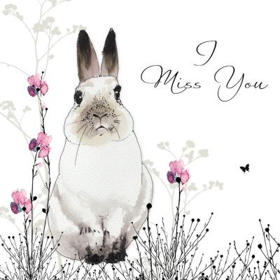 Opakowanie Karnet Swarovski kwadrat Królik biały