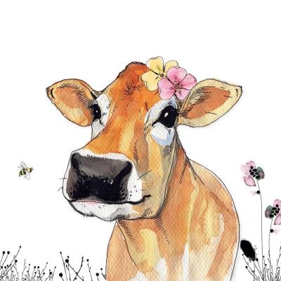 Opakowanie Karnet Swarovski kwadrat Krowa