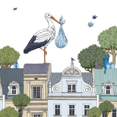 Opakowanie Karnet Swarovski kwadrat Narodziny chłopiec bocian