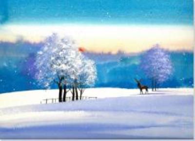 Opakowanie Karnety świątczne Delux Zimowa łąka (20szt)