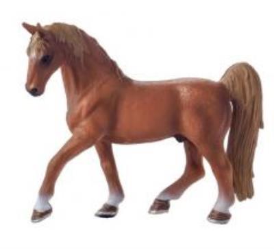 Opakowanie Koń American Saddlebred