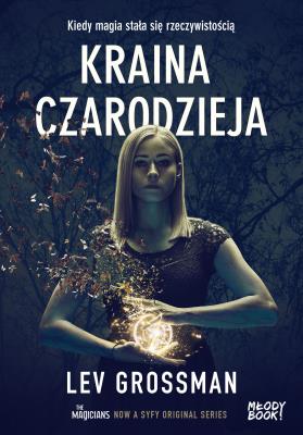 Kraina czarodzieja. Autor: Grossman Lev. SmakLiter.pl Okładka książki Kraina czarodzieja