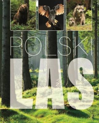 Okładka książki Polski Las