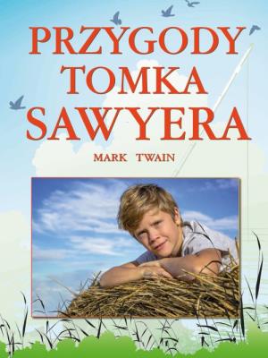 Przygody Tomka Sawyera. Autor: Twain Mark. SmakLiter.pl Okładka książki Przygody Tomka Sawyera