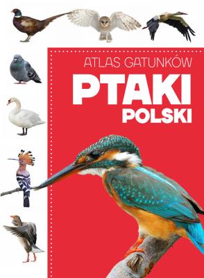 Atlas gatunków. Ptaki Polski. Autor: Opracowanie zbiorowe. SmakLiter.pl Okładka książki Atlas gatunków. Ptaki Polski