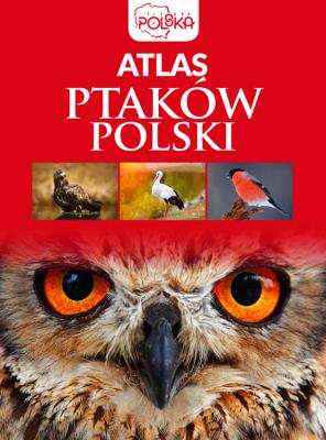 Atlas ptaków Polski. Autor: Anna Przybyłowicz. Łukasz Przybyłowicz. SmakLiter.pl Okładka książki Atlas ptaków Polski