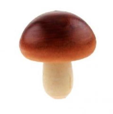 Opakowanie Drewniane grzybki