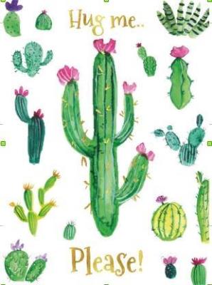 Opakowanie Karnet B6 Kaktusy