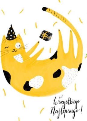 Opakowanie Karnet B6 Kot