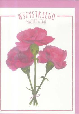 Opakowanie Karnet B6 Kwiaty akwarela. Goździk