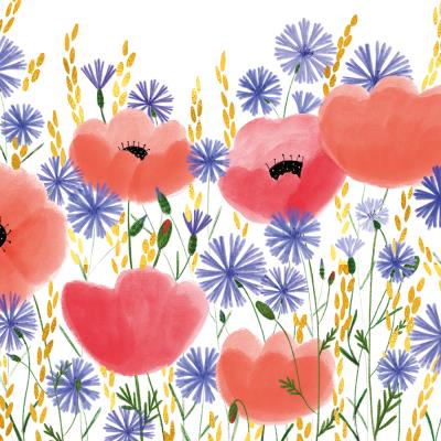 Okładka książki Karnet B6 Kwiaty maki