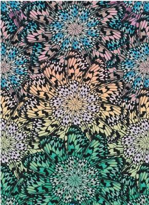 Opakowanie Karnet B6 z kopertą Butterfly Wheel