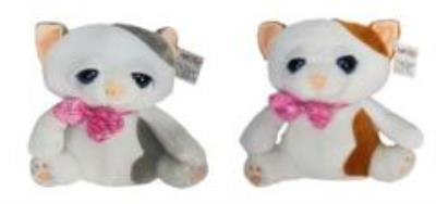 Opakowanie Kotek błyskotek, 2 kolory