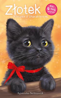 Okładka książki Kto mnie przytuli? Złotek kocurek z charakterem