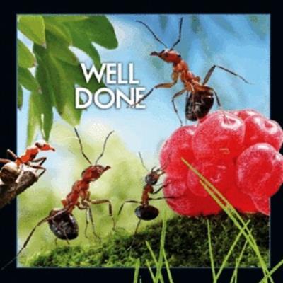 Opakowanie Magnes 3D Dobra robota