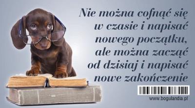 Opakowanie Magnes na lodówkę Nie można cofnąć się w czasie