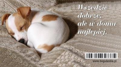 Opakowanie Magnes na lodówkę Wszędzie dobrze, ale w domu...