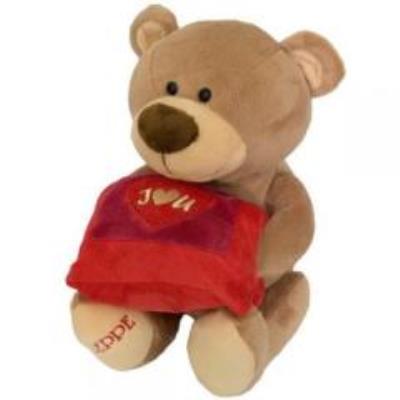 Opakowanie Miś Will z poduszką 30 cm