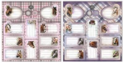 Okładka książki Naklejki na zeszyty Nice And Pretty 25 sztuk