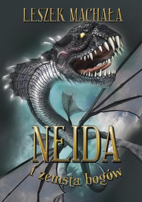 Okładka książki Neida i zemsta bogów