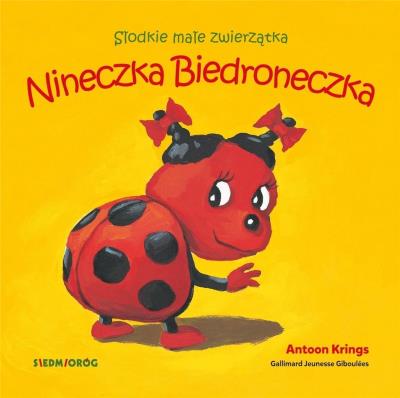 Okładka książki Nineczka Biedroneczka