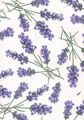 Okładka książki Notatnik ozdobny A5