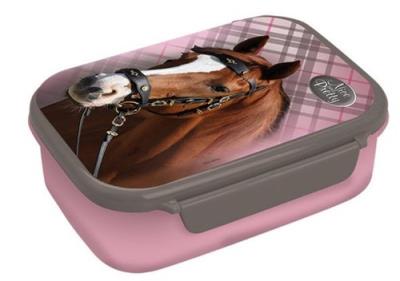 Opakowanie Pojemnik na śniadanie