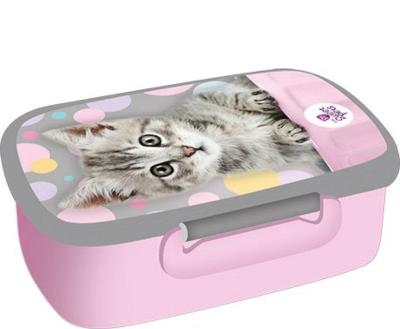 Opakowanie Pojemnik na śniadanie Kot