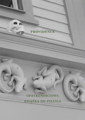 Okładka książki Providence