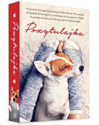 Przytulajka. Autor: Krawczyk Agnieszka, Lingas-Łoniewska Agnieszka, Kalicińska Małgorzata, Wilczyńska Karolina. SmakLiter.pl Okładka książki Przytulajka