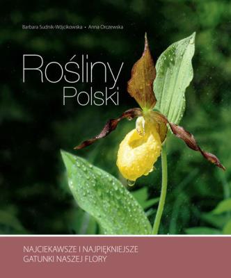 Rośliny Polski. Autor: Barbara Sudnik-Wójcikowska, Orczewska Anna. SmakLiter.pl Okładka książki Rośliny Polski
