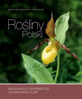 Rośliny Polski. Autor: Barbara Sudnik-Wójcikowska, Orczewska Anna. SmakLiter.pl Okładka książki Rośliny Polski