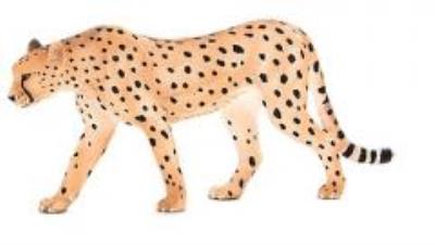 Opakowanie Samiec Geparda ANIMAL PLANET