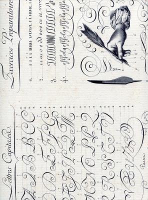 Opakowanie Teczka na dokumenty A4 FF 536A