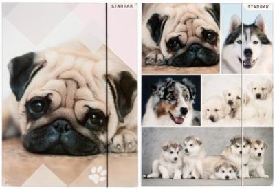 Okładka książki Teczka z gumką A4 pieski