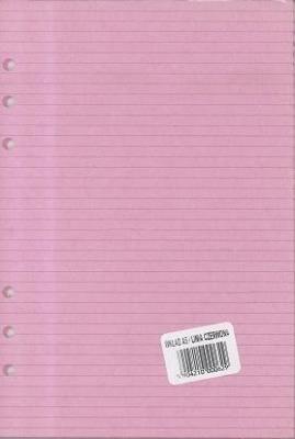 Opakowanie Wkład do organizera A5 Linia czerwona ANTRA