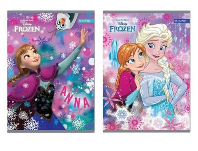 Opakowanie Zeszyt A5 w kratkę 16 kartek Kraina Lodu 10 sztuk mix