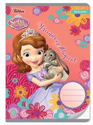 Opakowanie Zeszyt A5 w trzy linie 16 kartek Jej Wysokość Zosia 10 sztuk mix