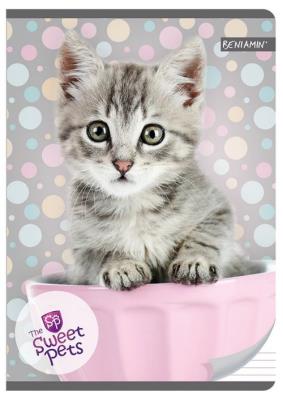 Opakowanie Zeszyt A5 w trzy linie 16 kartek Kot The Sweet Pets 10 sztuk mix