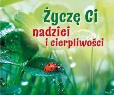 Życzę Ci nadziei i cierpliwości. Perełka 281. Autor: Opracowanie zbiorowe. SmakLiter.pl Okładka książki Życzę Ci nadziei i cierpliwości. Perełka 281