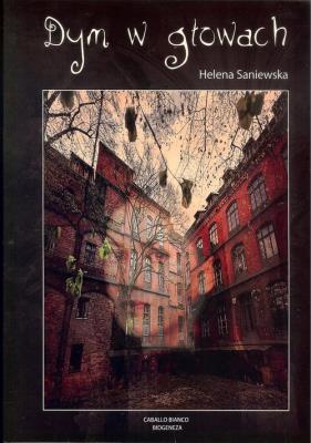 Okładka książki Dym w głowach