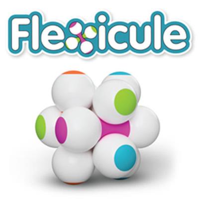 Opakowanie Flexicule Łamigłówka dla malucha