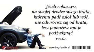 Opakowanie Magnes na lodówkę Jeśli zobaczysz na swojej ...